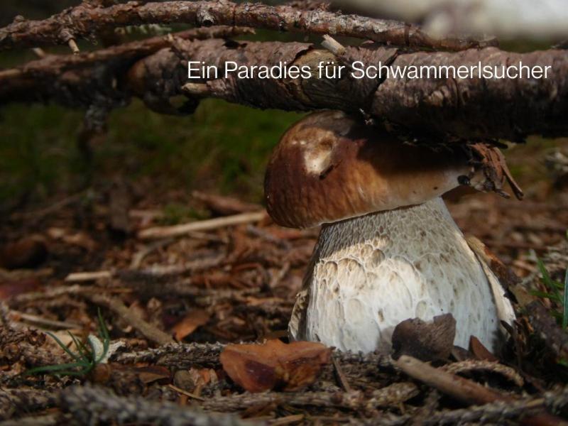 Ferienhaus Koglegg Villa Wies Buitenkant foto